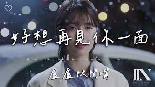 盧盧快閉嘴 l 好想再見你一面【高音質 動態歌詞 Lyrics】