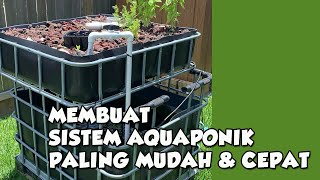 SISTEM AQUAPONIK PALING MUDAH DIBUAT