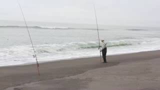 豊頃町長節海岸のコマイ釣り