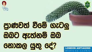 ප්‍රාණවත් වීමේ ගැටලු ඔබට ඇත්නම් ඔබ නොකල යුතු දේ?