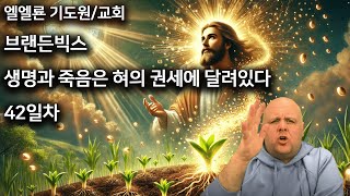 브랜든빅스 생명과 죽음은 혀의 권세에 달려있다 42일차