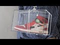 Wearing the Off-White Air Jordan 1 Wearing the Off-White Air Jordan 1