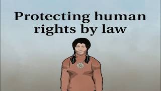 Protecting Human Rights by Law – described video