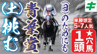 青葉賞 2023 【予想】素質開花！スキルヴィングを脅かす「たまらん穴馬」とは？夢舞台ダービー出走へ向けて全力で勝負！