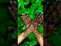 Very Easy Mehendi Design #viral #ytshorts #henna #youtubeshorts