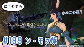 【ン・モゥ族の里へ】はじめてのFF14旅 #189【杖をもらいに】