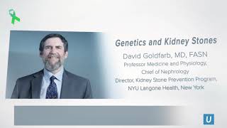 Genetics and Kidney Stones | UCLA CORE Kidney Symposium 2020 | Anjay Rastogi, MD PhD