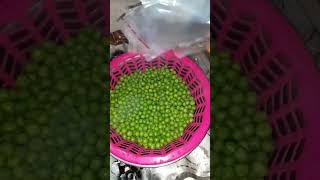 Save your Green Peas forever with this method!   #food #cooking #recipe #dinner #viral #peas #shorts