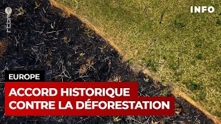 L'UE vote un accord historique pour lutter contre la déforestation - RTBF Info