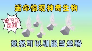 迷你世界：迷你惊现神奇生物，会飞的云团？竟然可以驯服当坐骑