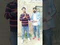 Song #chitta #inder