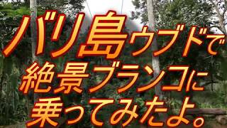 バリ島ウブドの巨大ブランコに乗ってみたよ。