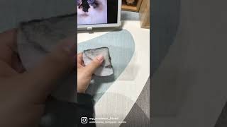 Making a cat portrait. 20+ hours of work in 30 seconds