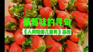 人间难得几回寻 ｜🍓味儿的寻甸在这里可以实现草莓自由！#草莓采摘园 #草莓🍓 #乡村振兴