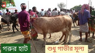 হযরতপুর গবাদি পশুর হাট|গাভীর দাম জানুন|দ্বিতীয় পর্ব