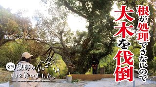 Cutting down a large tree that gets in the way of building a bathhouse [EP394]