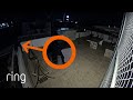 Alarm Used to Scare Stranger off of Terrace | RingTV