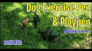 Dog Exercise Pen \u0026 Playpen by Midwest Homes