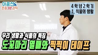 [초등과학, 실험, 인강] 4학년 2학기 1단원 7차시 우리 생활에서 식물의 특징을 어떻게 활용할까요?