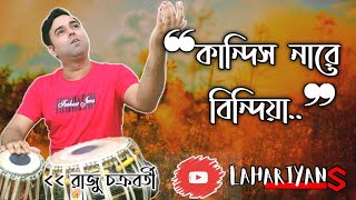 || কান্দিস না রে বিন্দিয়া || Kandish na re bindiya || Raju Chakraborty || রাজু চক্রবর্তী