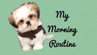 Shih Tzu puppy Morning Routine | What dog food I eat