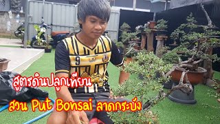 💥🌿ดินปลูกเทียนทะเล สไตล์สวน Put Bonsai  ลาดกระบังสร้างแรงบันดาลใจ💗 ให้กับเยาวชนคนรุ่นใหม่และนักสร้าง