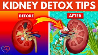8 Ways to Detox and Cleanse Your Kidneys Naturally