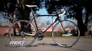 Reid Cycles - Falco Series Road Bikes