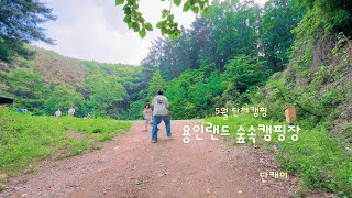 푸르름이 가득한 5월단체캠핑/용인랜드숲속캠핑장