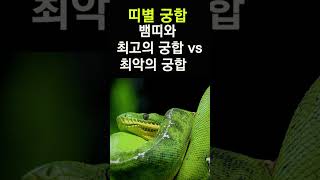 뱀띠에게 복을 가져다 주는 띠는? 띠궁합! 뱀띠와 만나면 최고 vs 최악의 궁합 띠 #띠별운세, #띠별궁합, #사주, #대박, #뱀띠, #운세,