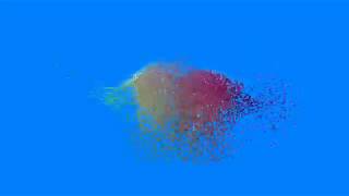 Boids Flocking Simulation.