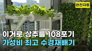 91.가성비 최고의 수경재배기, 이거 하나로 108포기 기를 수 있어요