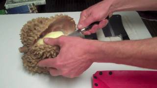 Opening a Durian Fruit