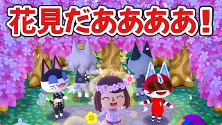 桜咲いた！お花見しよ！！！【ポケ森】