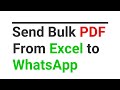how to send bulk whatsapp message from excel with pdf and videos