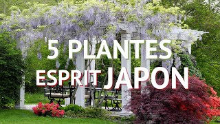 TOP 5 Des plantes pour donner un aspect japonais à un jardin