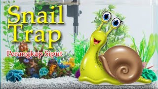 Snail Trap / Perangkap Siput