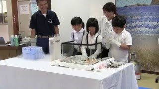 種子島の学校活動：南界小学校出前授業宇宙教室極低温実験