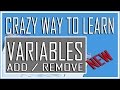 Visual Basic Beginner Lesson 12 - Add / Remove Variable (Crazy Tutorial)