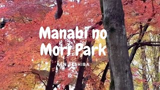 Manabi no Mori Park kakamigahara Japan