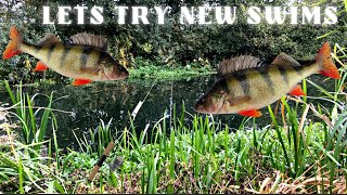 Fishing River Bure Coltishall \u0026 Horstead Mill Norfolk UK Trying Out New Swims Freshwater Fish