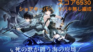 新高難易度コンテンツ死の歌を纏う海の廃墟ツバキ、ショアキーパー無し攻略　スコア6530