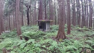 山奥にポツンとある祠が、雰囲気ある・・・。