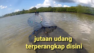 CARA UNIK DAN MUDAH MENANGKAP UDANG REBON.NELAYAN BUTON TENGAH