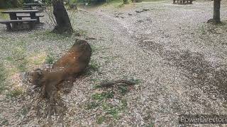 三ツ沢公園 | 神奈川区 | 横浜市 | 公園に行こう❗