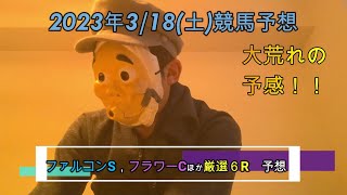 2023/3/18土曜競馬予想😏ファルコンS、フラワーCほか予想byMr.おじさん