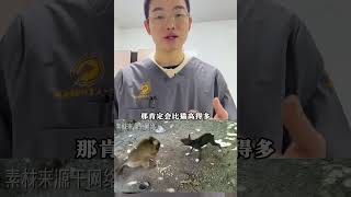 猫能秒狗，为啥打不赢猴子？