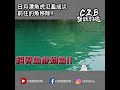 日月潭魚虎氾濫成災 前往釣魚驅除 shorts