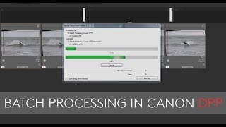 Batch Processing in Canon's DPP Editing Software