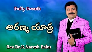 అరణ్య యాత్ర  - 10th May 2021 - అనుదిన వాక్యధ్యానం - Pas.Naresh Babu